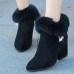 Women Chunky Heel Suede Lining Warm Ankle Boots